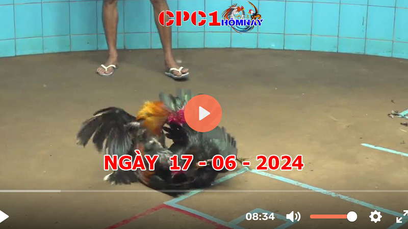 Trực tiếp đá gà CPC1 ngày 17-06-2024