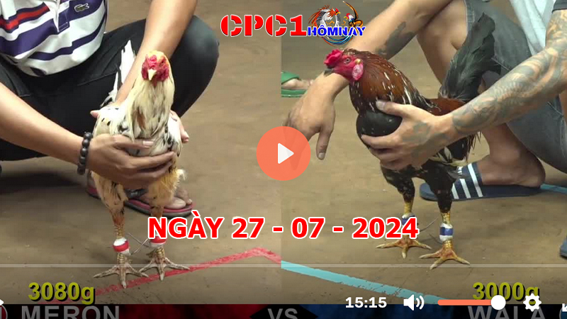 Trực tiếp đá gà CPC1 ngày 27-7-2024