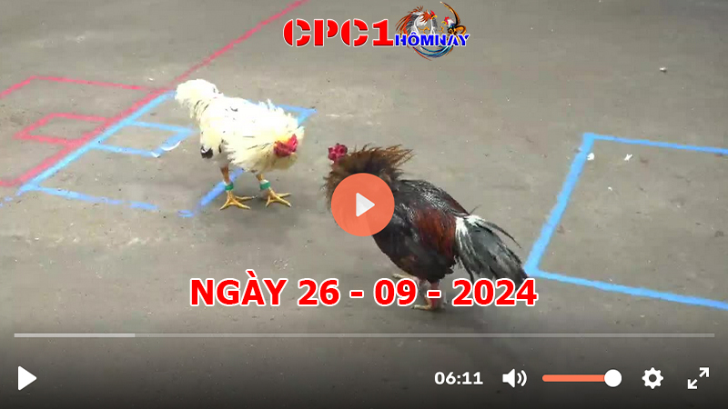 Trực tiếp đá gà CPC1 ngày 26-9-2024