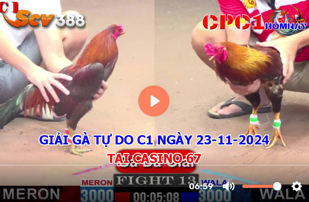 Giải Gà Tự Do C1 ngày 23-11-2024 tại Casino 67